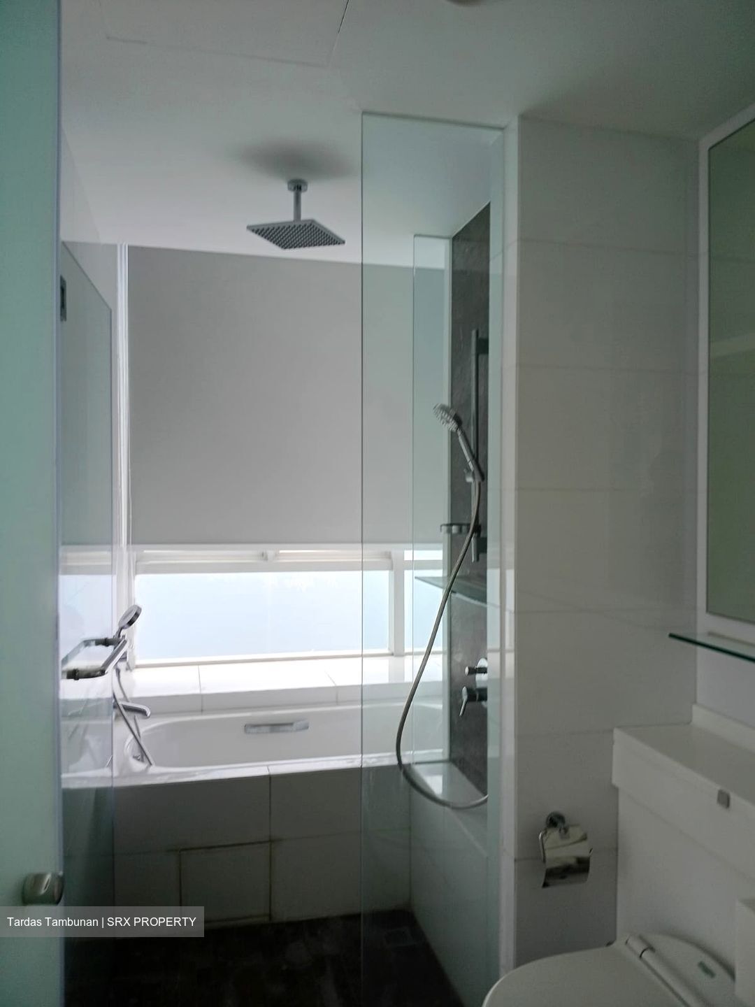 One Amber (D15), Condominium #487345881